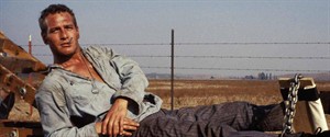 CoolHandLuke 1080x450_thumb.jpg